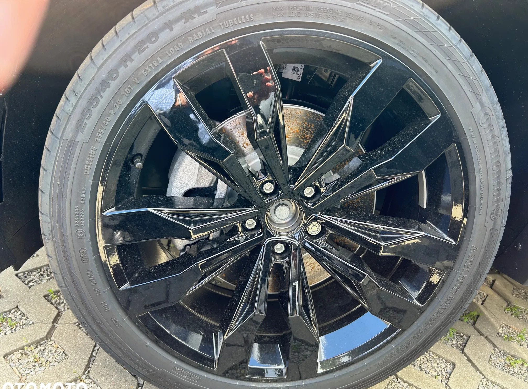 Volkswagen Tiguan cena 234160 przebieg: 10, rok produkcji 2024 z Olszyna małe 37